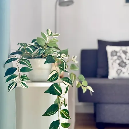Nextgen Casa Ilma شقة *