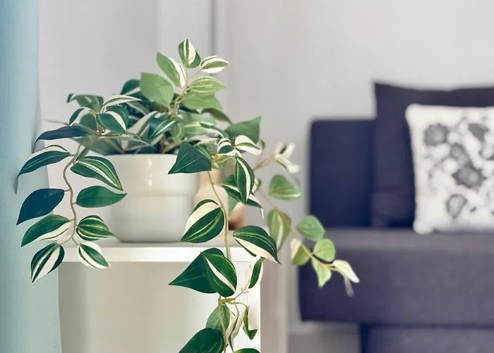 Casa Ilma Apartman *