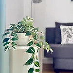 Nextgen Casa Ilma شقة *